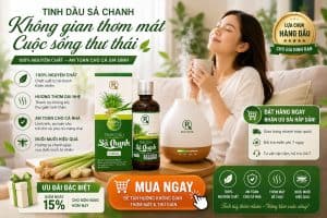 TINH DẦU SẢ CHANH 100 ML TINH DẦU SẢ CHANH 100 ML