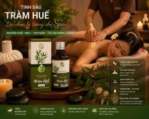 Tinh Dầu Tràm Huế 100ml Chính Hãng Hồng Tâm Cosmetics