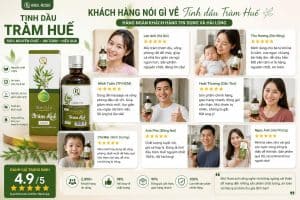 Tinh Dầu Tràm Huế 100ml Chính Hãng Hồng Tâm Cosmetics