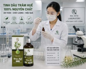 Tinh Dầu Tràm Huế 100ml Chính Hãng Hồng Tâm Cosmetics