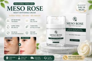 Kem Dưỡng Đêm Meso Rose Chính Hãng Kem Dưỡng Đêm Meso Rose Chính Hãng