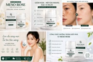 Kem Dưỡng Đêm Meso Rose Chính Hãng Kem Dưỡng Đêm Meso Rose Chính Hãng