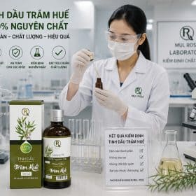 Kho ảnh sản xuất