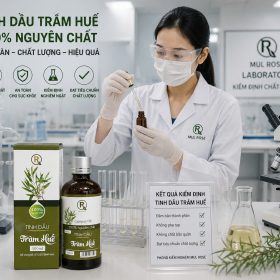 Kho ảnh sản xuất